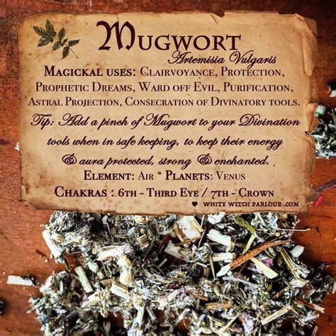 Magickal uses of witch herbs